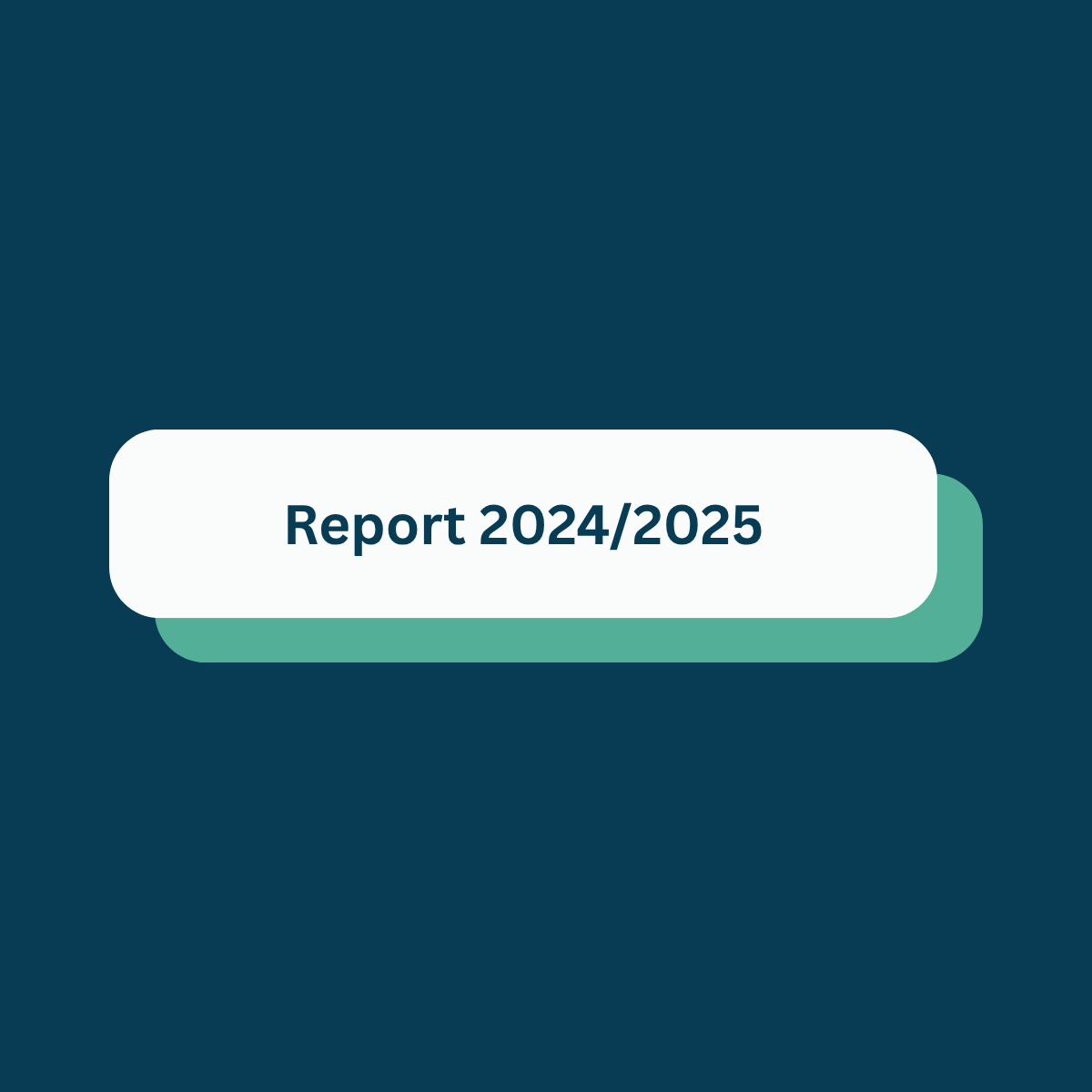 Report 2024_2025